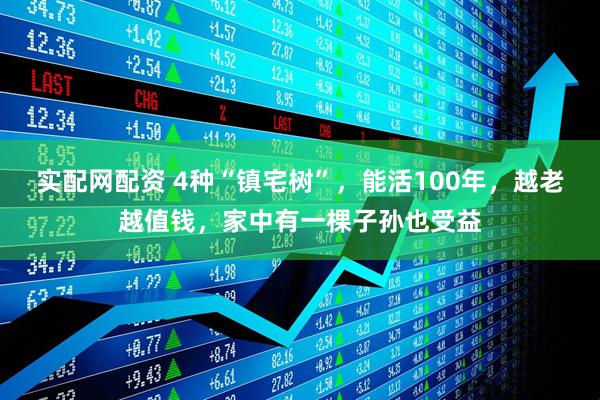 实配网配资 4种“镇宅树”，能活100年，越老越值钱，家中有一棵子孙也受益